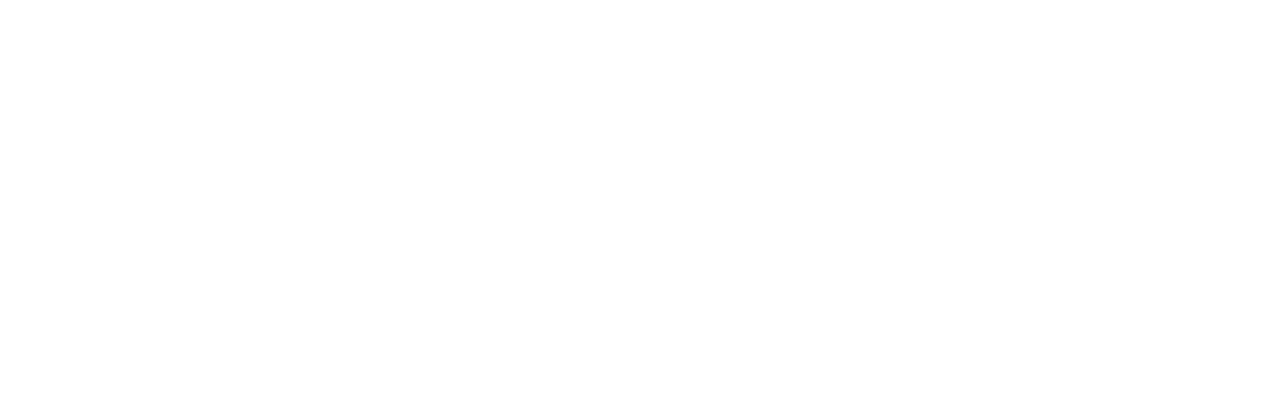 finalinq logo wit
